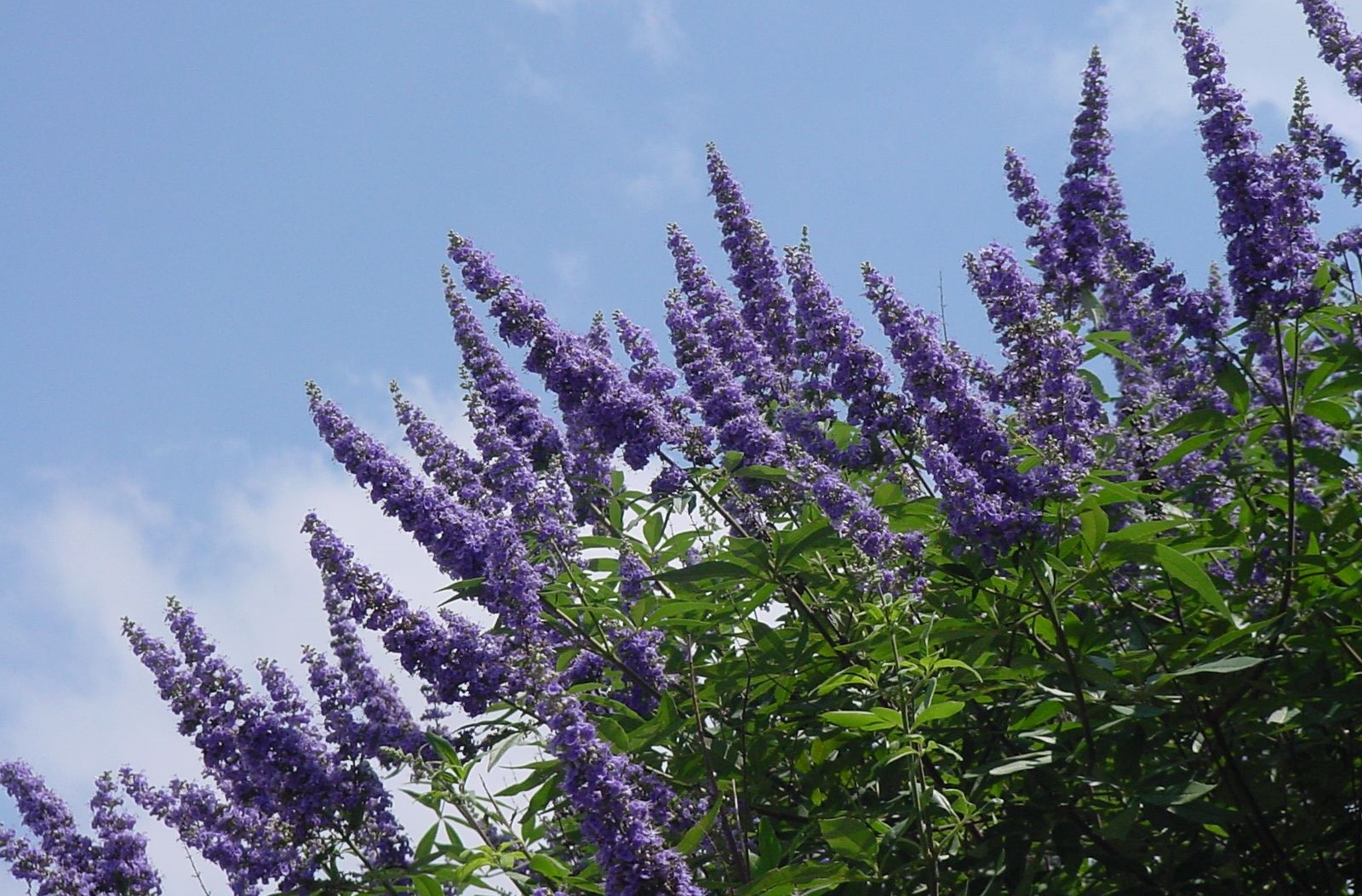 1642776128-3cbf8e4c 2