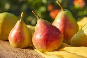 Mirandino Rosso körte