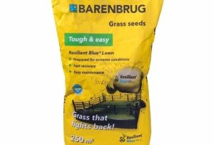 Barenbrug - Tough & Easy 5 kg (250m2)