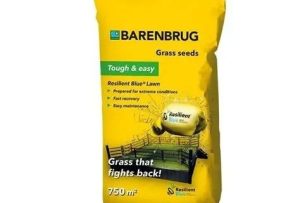 Barenbrug - Tough & Easy 15 kg (750m2)