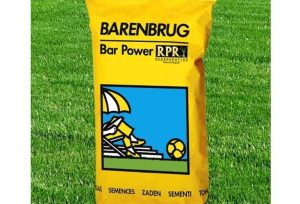 Barenbrug - Bar Power Rpr 15 kg (750m2)