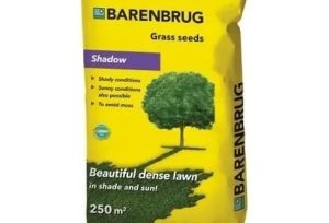 Barenbrug - Shadow & Sun 5 kg (250m2)