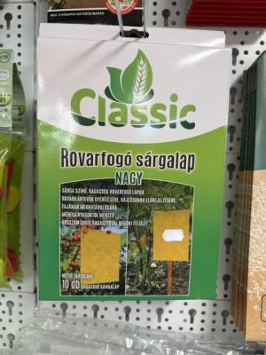 Classic rovarfogó sárgalap nagy 10 db/cs
